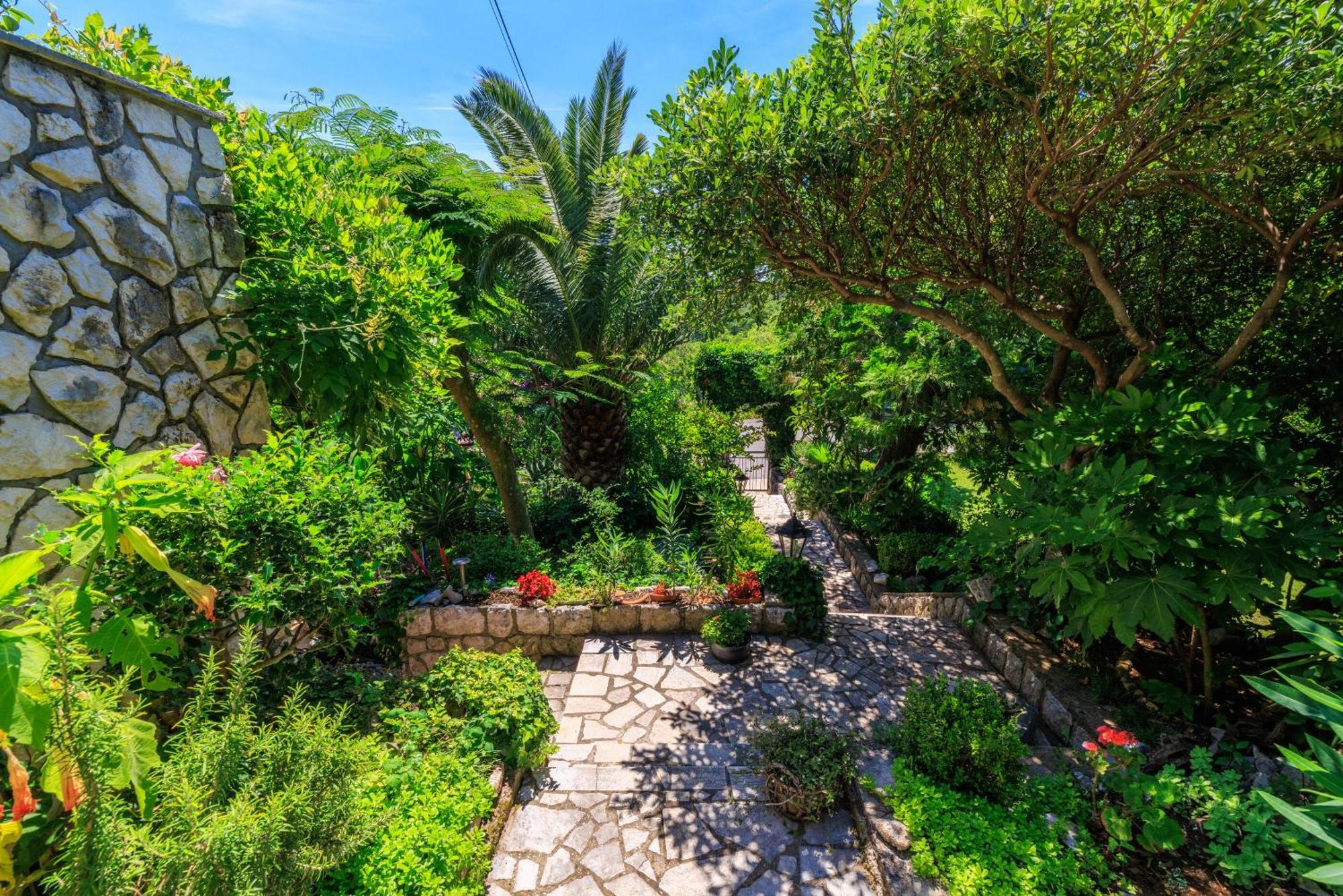 דראמליי Apartments And Room Mirjana מראה חיצוני תמונה