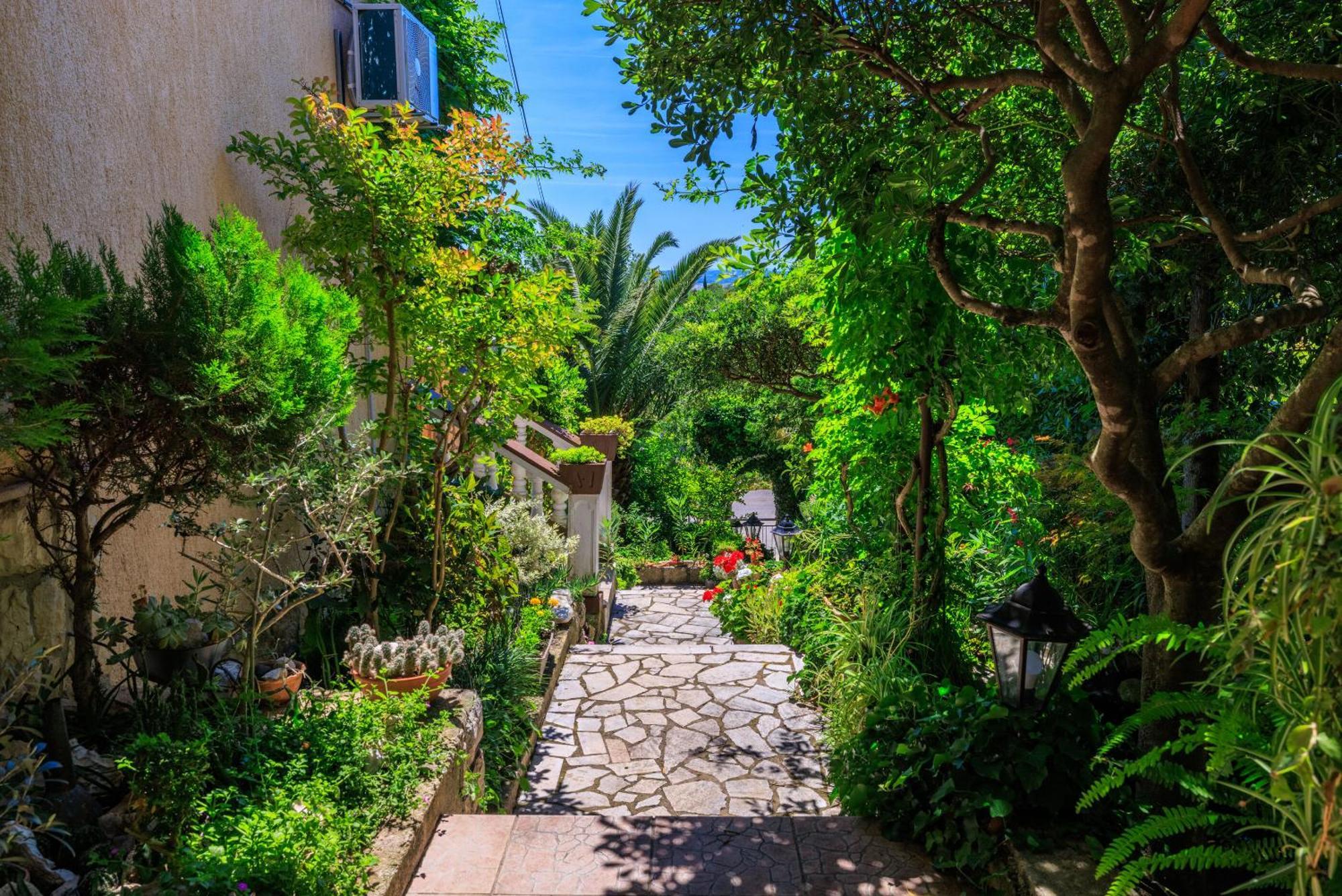 דראמליי Apartments And Room Mirjana מראה חיצוני תמונה
