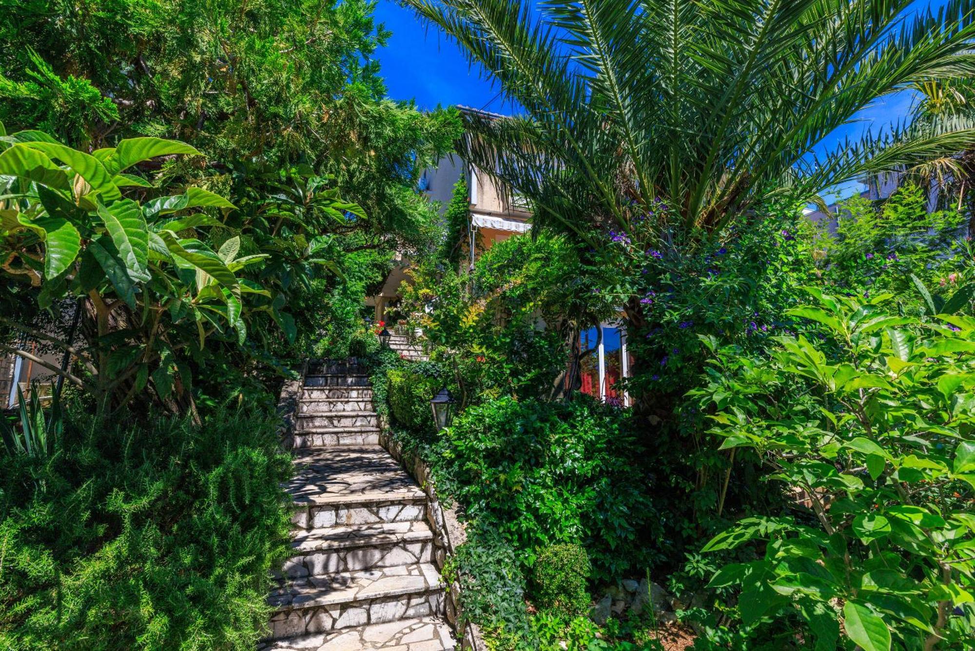 דראמליי Apartments And Room Mirjana מראה חיצוני תמונה